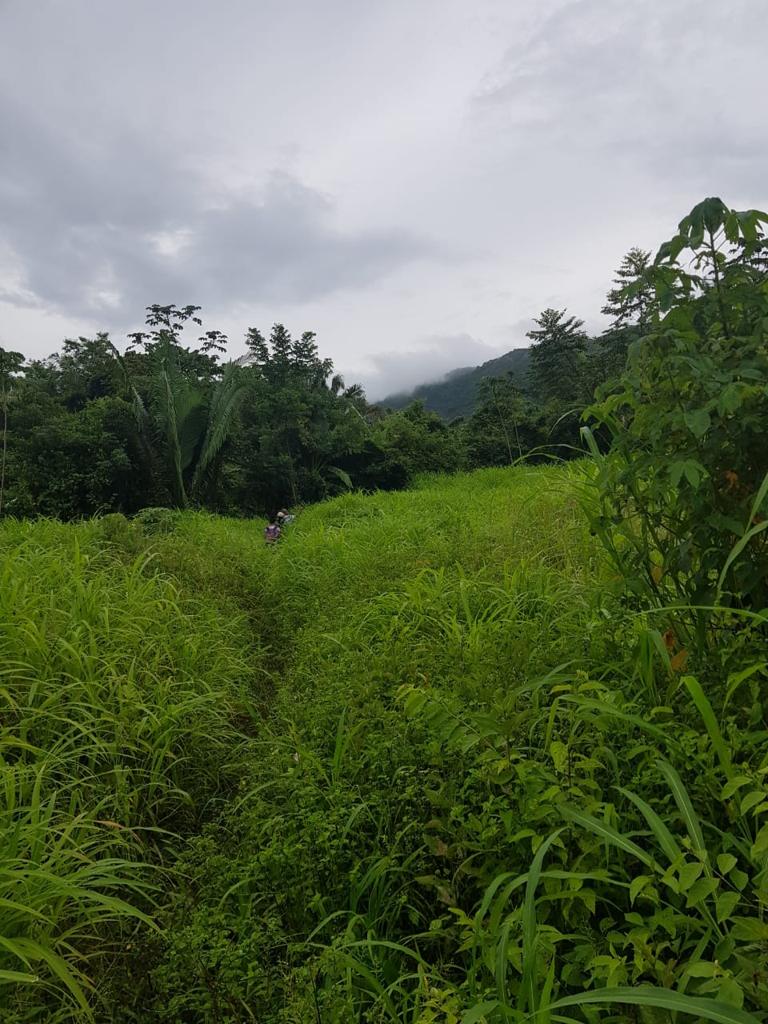 listing image with ID 87273