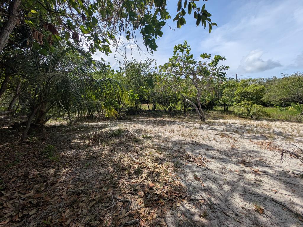 listing image with ID 78366