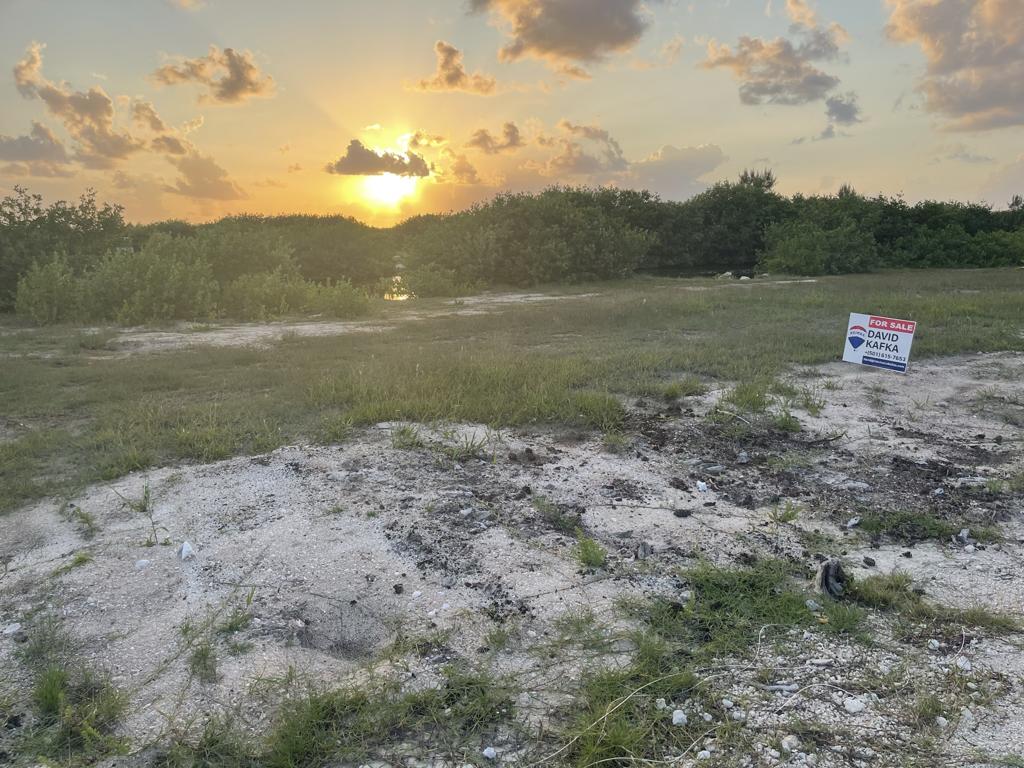 listing image with ID 99496
