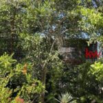 listing image thumbnail with ID 87973