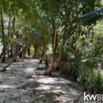listing image thumbnail with ID 108718