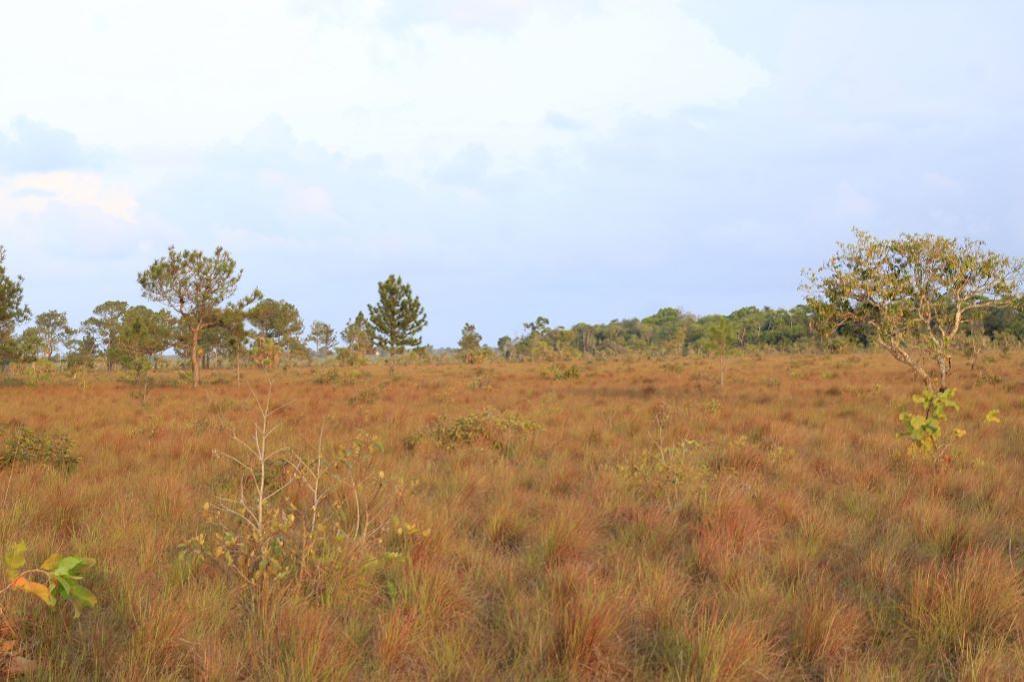 listing image with ID 103668