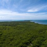 listing image thumbnail with ID 94865
