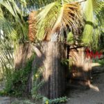 listing image thumbnail with ID 104153