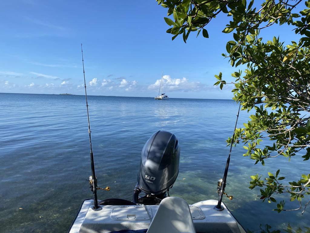 listing image with ID 98454