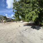 listing image thumbnail with ID 100556