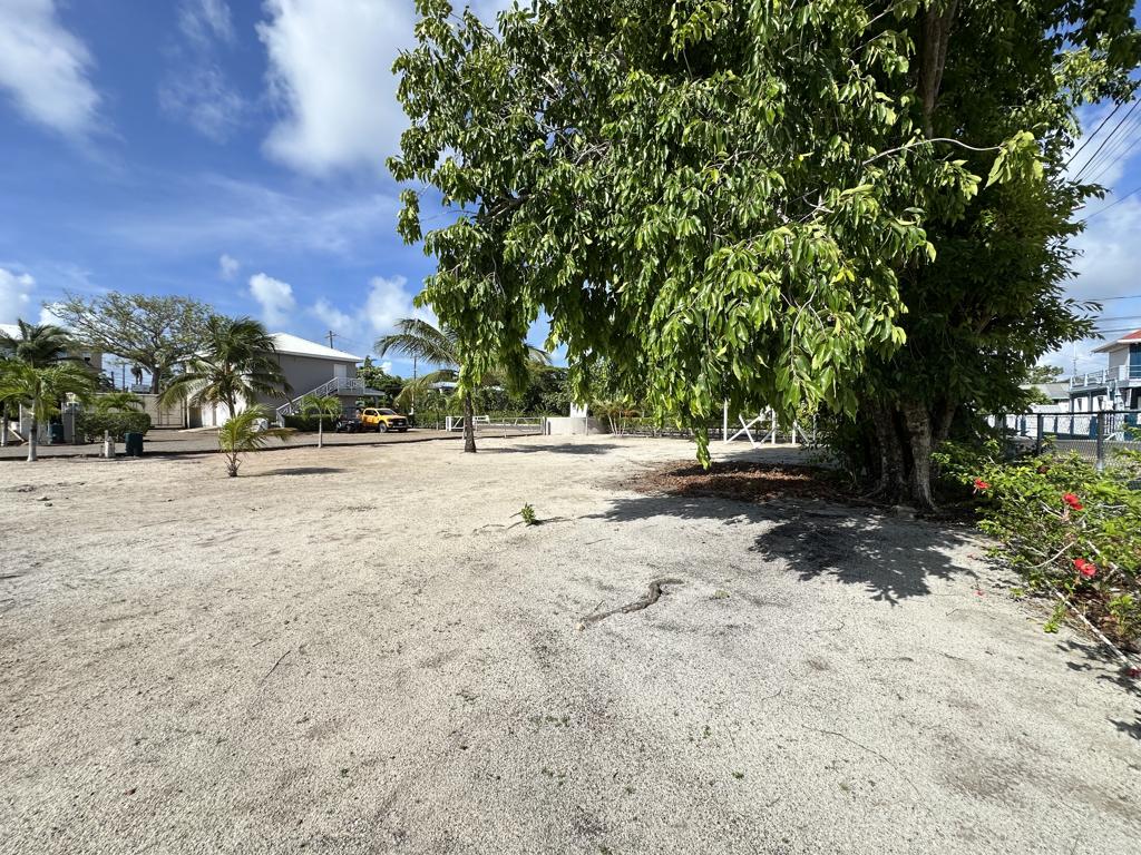listing image with ID 100556