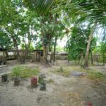 listing image thumbnail with ID 74927