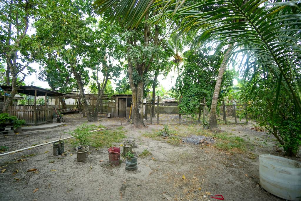 listing image with ID 74927
