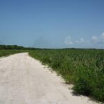 listing image thumbnail with ID 103246