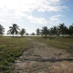 listing image thumbnail with ID 92680