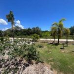 listing image thumbnail with ID 74458