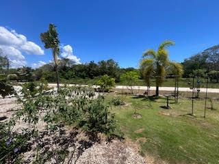 listing image with ID 74458