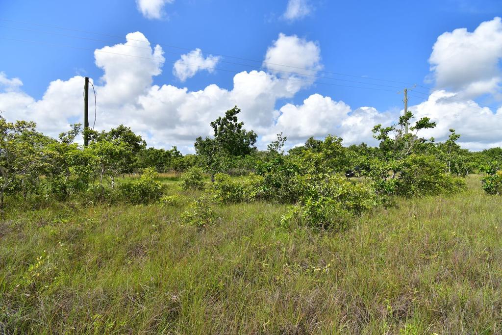 listing image with ID 95109