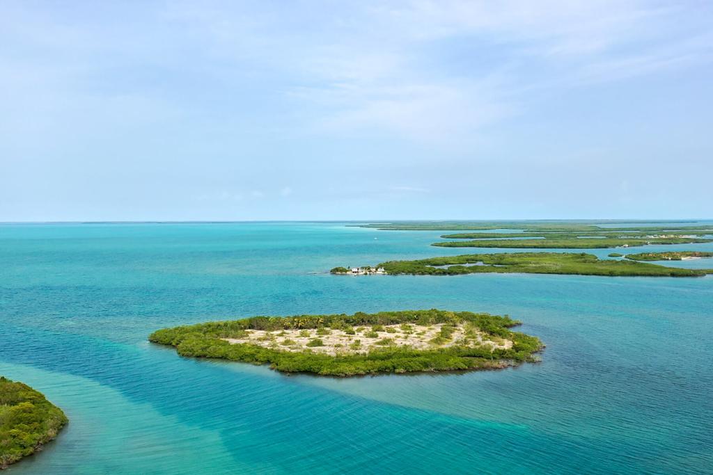 listing image with ID 74664