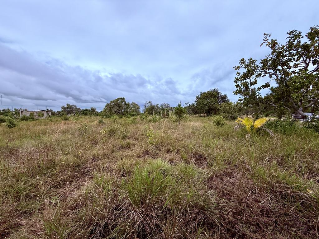 listing image with ID 101055