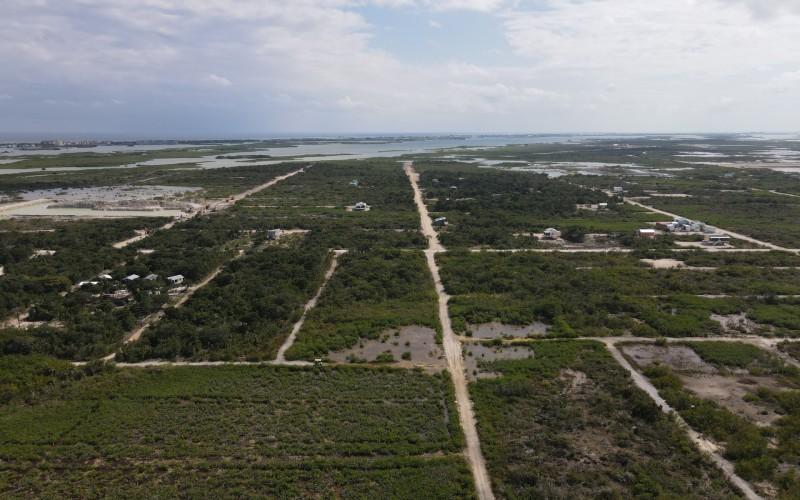 listing image with ID 84380