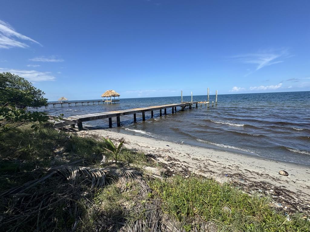 listing image with ID 79579