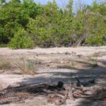 listing image thumbnail with ID 107226