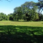 listing image thumbnail with ID 104430