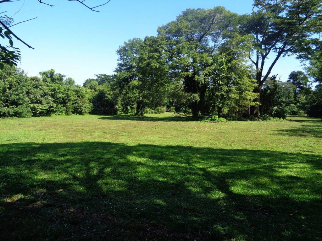 listing image with ID 104430