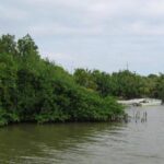 listing image thumbnail with ID 90730