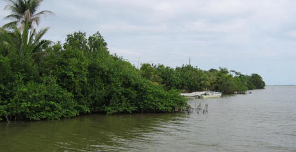 listing image with ID 90730