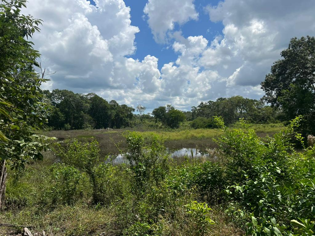 listing image with ID 76891