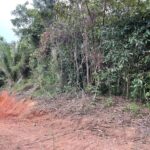 listing image thumbnail with ID 81796