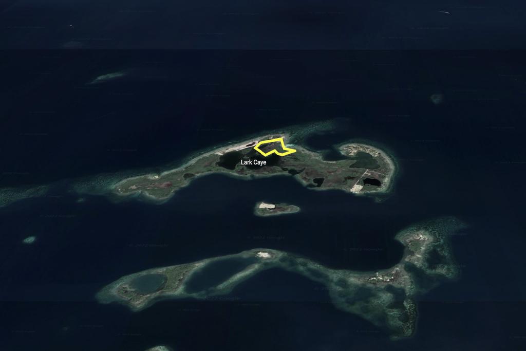 listing image with ID 84812