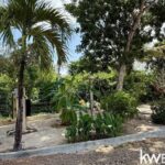 listing image thumbnail with ID 107091