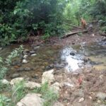 listing image thumbnail with ID 104422