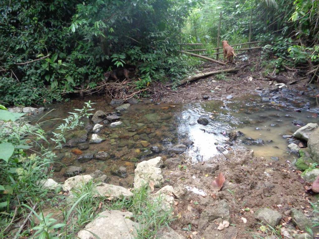 listing image with ID 104422