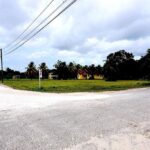 listing image thumbnail with ID 94202