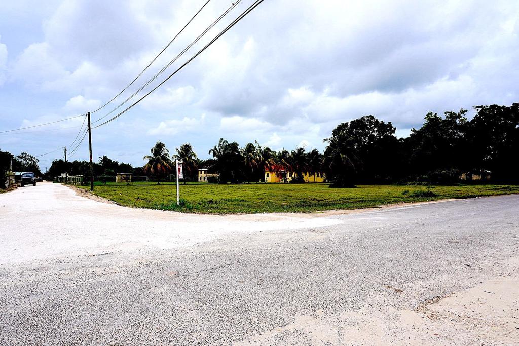 listing image with ID 94202