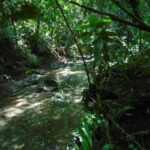 listing image thumbnail with ID 86756