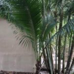 listing image thumbnail with ID 99479