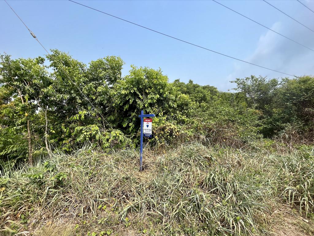 listing image with ID 77991