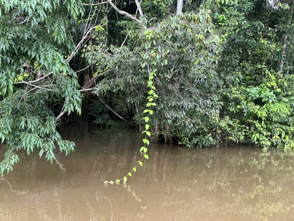 listing image with ID 95845
