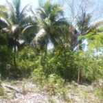 listing image thumbnail with ID 94607