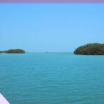 listing image thumbnail with ID 87337