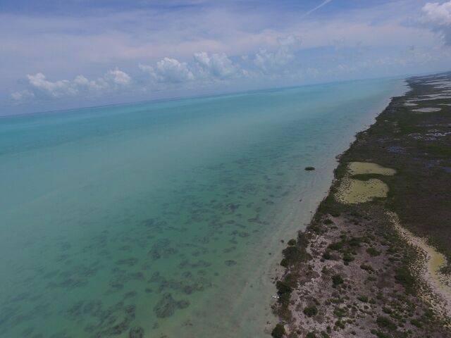 listing image with ID 107215