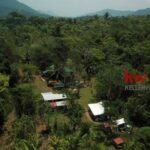 listing image thumbnail with ID 91063