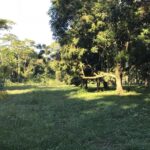 listing image thumbnail with ID 79934