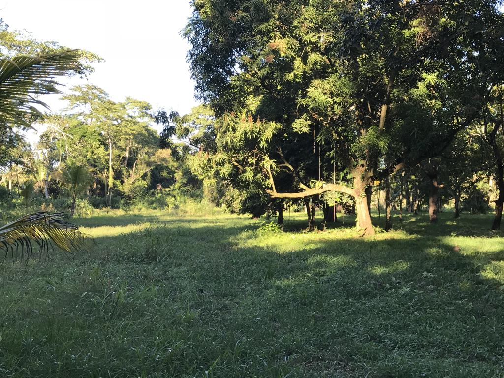 listing image with ID 79934