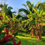 listing image thumbnail with ID 105394