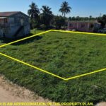 listing image thumbnail with ID 87923