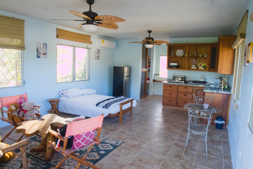 listing image with ID 74780