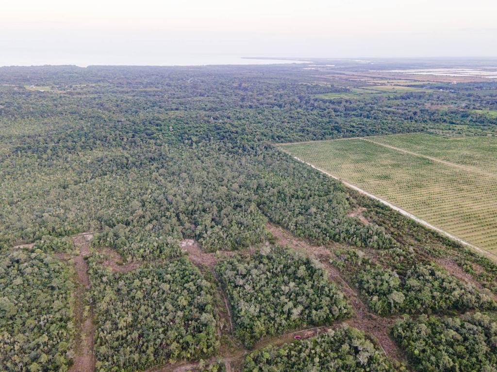 listing image with ID 94440