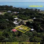 listing image thumbnail with ID 91781